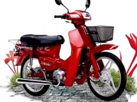 TRAXX Star 50, Foto 1